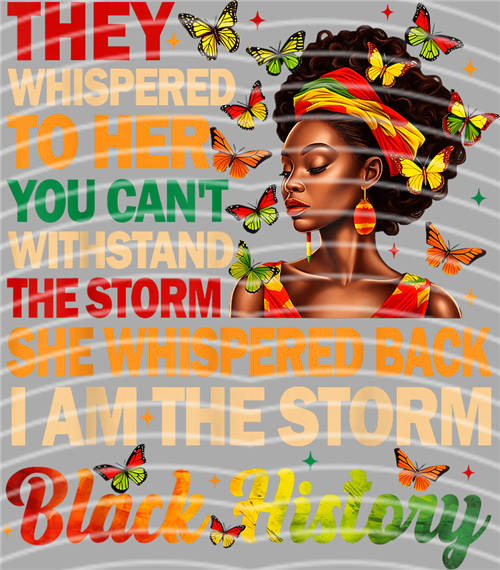 Black History in 1865-LY 348